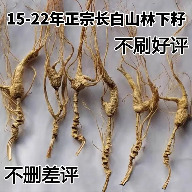 22年长白山林下籽参礼盒泡酒煲汤