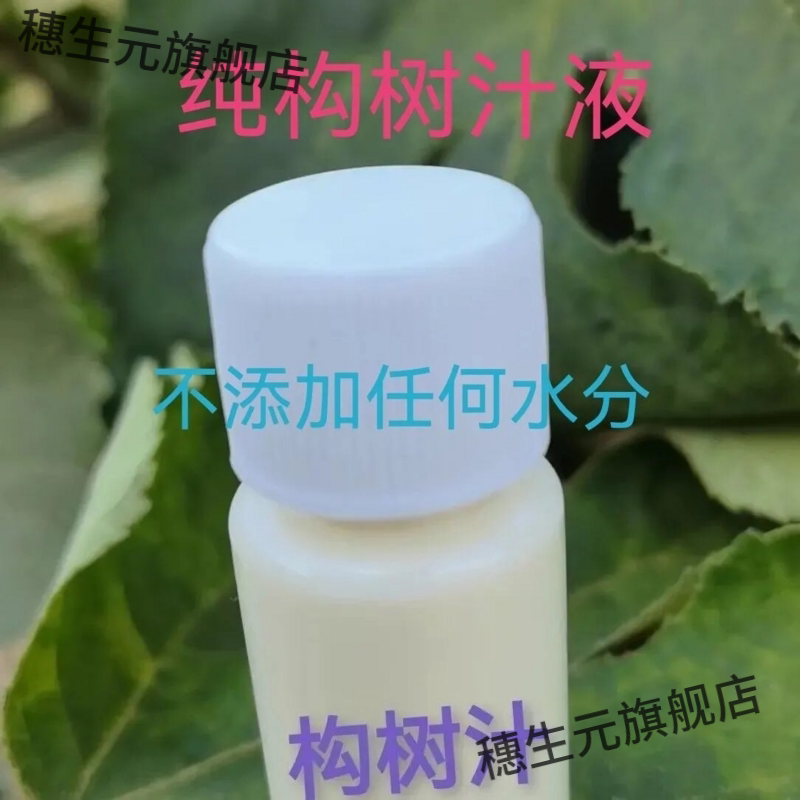构树汁液牛皮树癣树假梅子角阔枸谷树汁四川大山老构树汁楮桃树汁