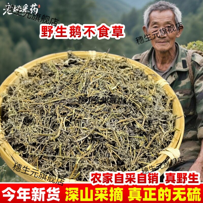 鹅不食草云南材吃新鲜干粉