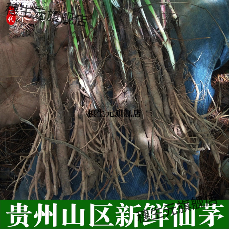 贵州新鲜仙茅500g材独脚地