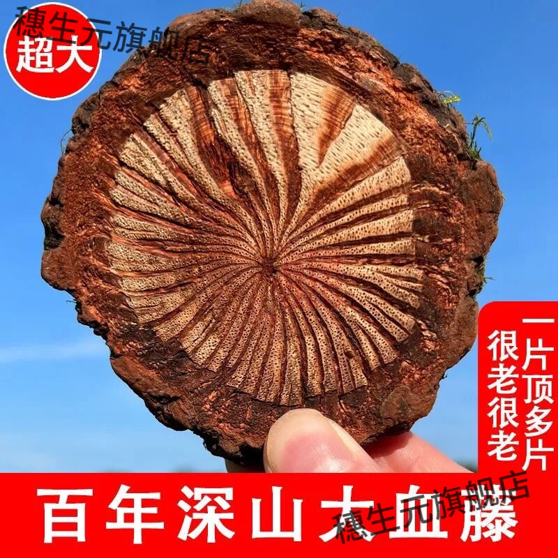 云南野生血塞通红藤大脑片