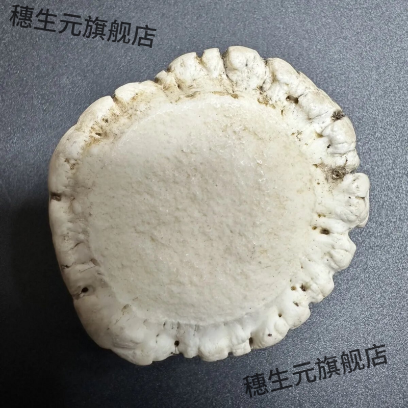 双阳梅花鹿帽粉鹿角脱盘