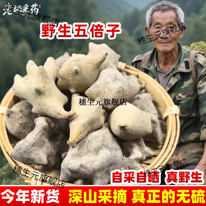 云南野生五倍子材蛇床粉末