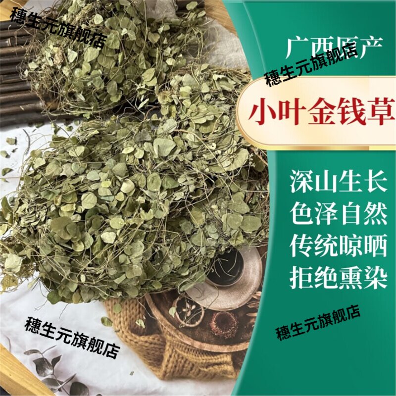 广西深山野生小叶广金钱草