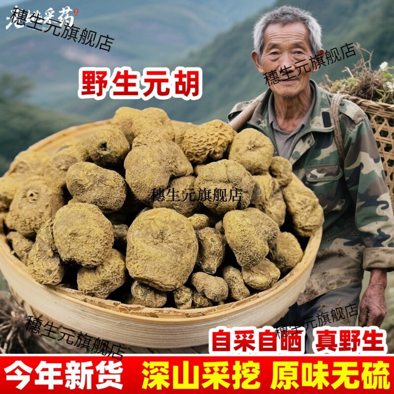 云南野生材元胡切片延索