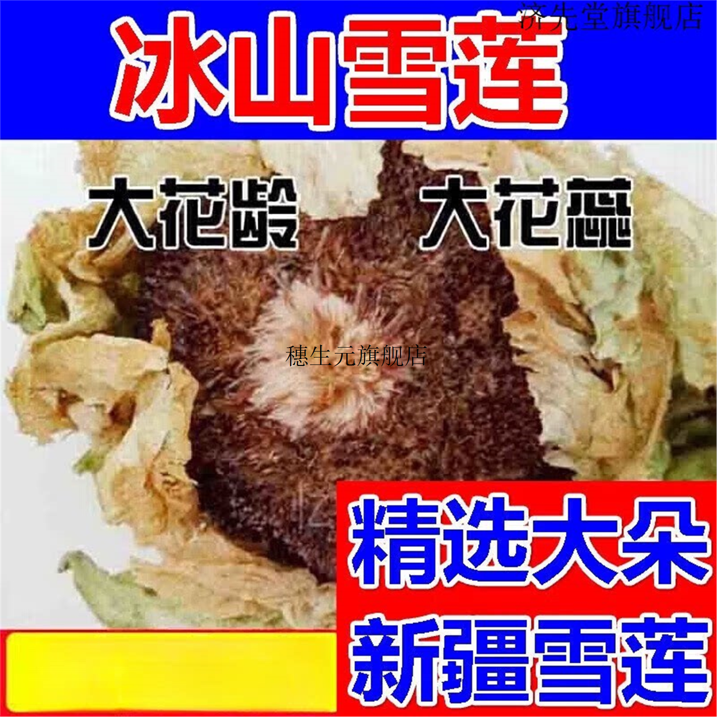 雪莲干花天山连新疆中秋送
