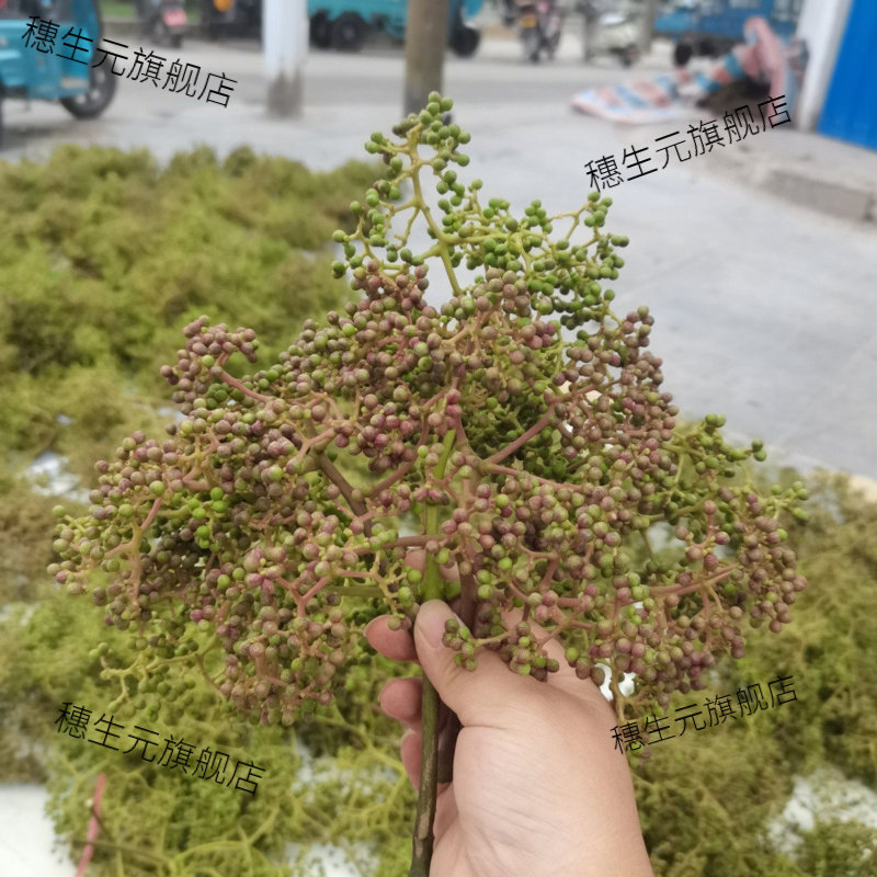 纯天然高山野生新晒干煮蛋香料
