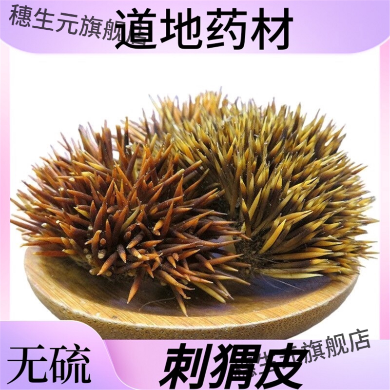 正宗刺猬皮100克特级仙人