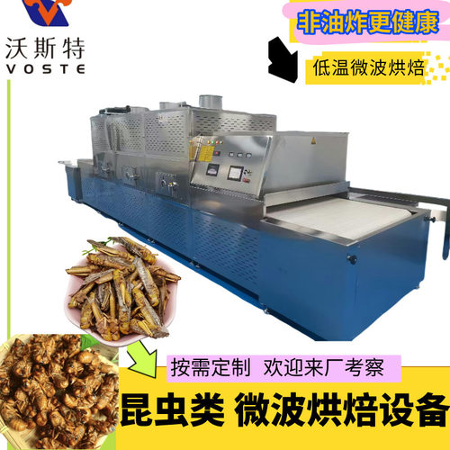 黑水虻烘干机源头厂家烘干设备微波黑水虻箱式烘干机脱水熟化