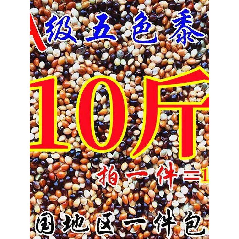 10大斤五色混合黍子虎皮牡丹玄凤鹦鹉鸟食糜谷子文鸟饲料鹦鹉鸟粮