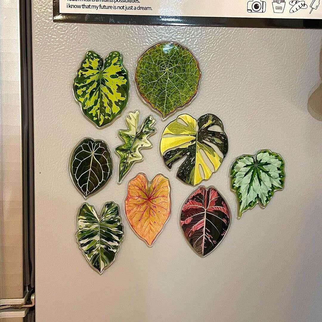 热带珍稀植物冰箱贴磁铁2025新款创意绿植叶子装饰贴饰治愈系礼物