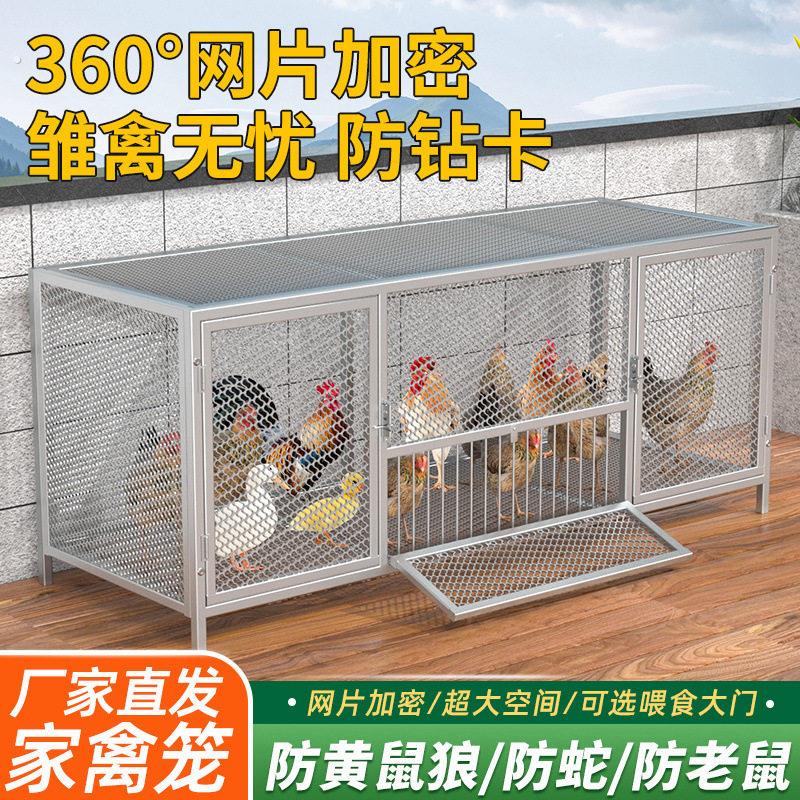 鸡笼子家用室外大号方管密网防雨农村芦丁自动清粪养殖笼防黄鼠狼