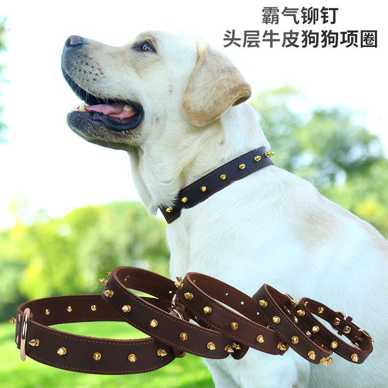 牛皮宠物项圈狗狗猫咪防咬铆钉颈圈法斗中小型犬小狗狗圈柴犬脖圈
