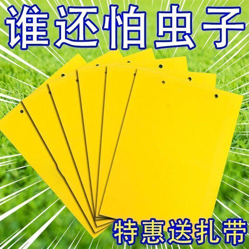 黄板双面粘虫板家用小黑飞虫果蝇纸贴诱捕器果园果树防虫板除螨贴