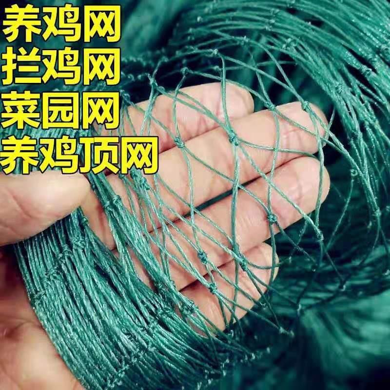 【养鸡鸭网专用】家禽养殖网养鸡网拦鸡鸭网围网山鸡网菜园网天网