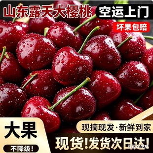 【山东大樱桃】现货3斤美早车厘子礼盒
