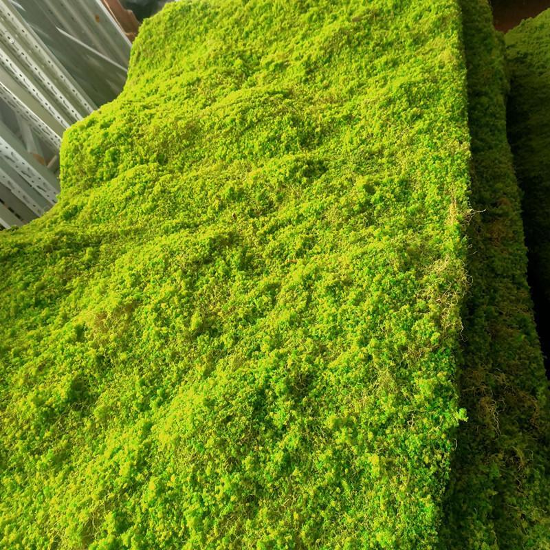 草皮彷真苔藓青苔橱窗草坪假植物墙造景盆景人造绿色装饰微景观鼓