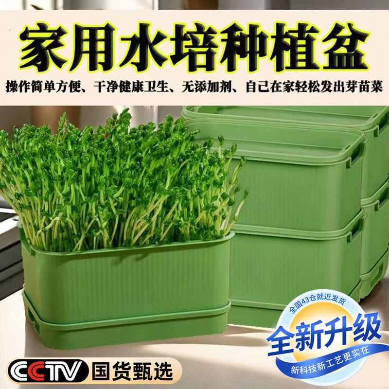 育苗盘种植发芽盆大容量家用豆芽机发豆芽专用盆神器生黄绿豆芽罐