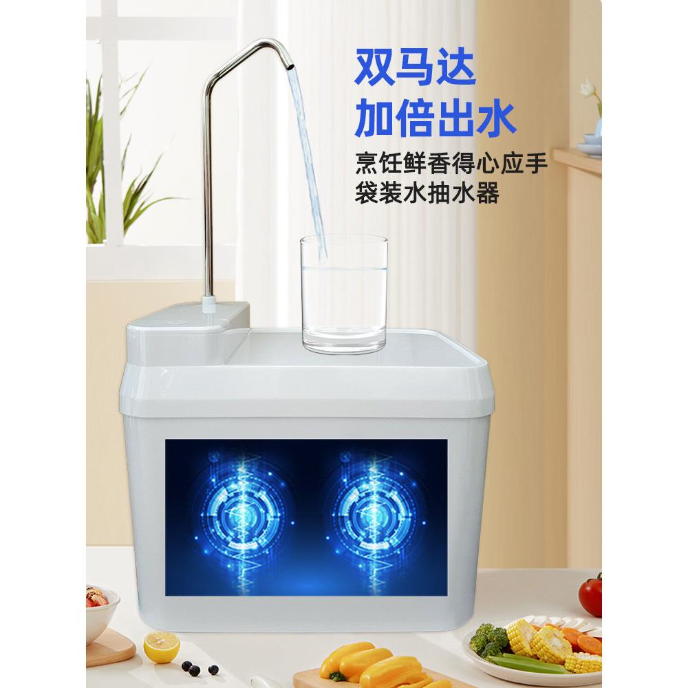 袋装水泵电动专用饮水机双泵出水口,带加热沸水功能