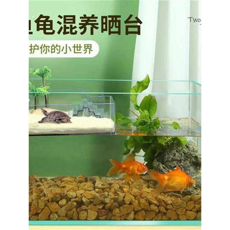 乌龟挂壁式晒台透明压克力创意晒背台巴西龟爬台龟缸高水位浮台