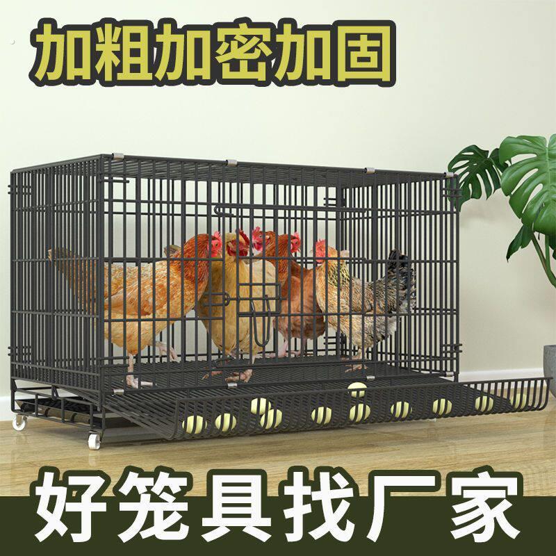 鸡笼家用小号大号特大号自动清粪鸭子鹅家禽折叠养殖笼鸡舍鸡笼子