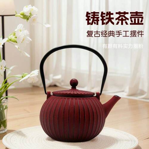 外贸彩色铁壶欧式亮光釉面搪瓷涂层铁茶壶家用养生煮水泡茶铸铁壶