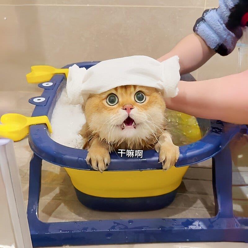 小螃蟹宠物洗澡盆可折叠猫咪狗狗泡澡桶四季通用浴缸加大加厚防滑