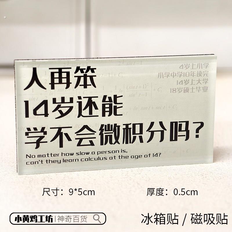 人再笨14岁还能学不会微积分吗磁吸贴冰箱贴钱学森名人名言装饰品