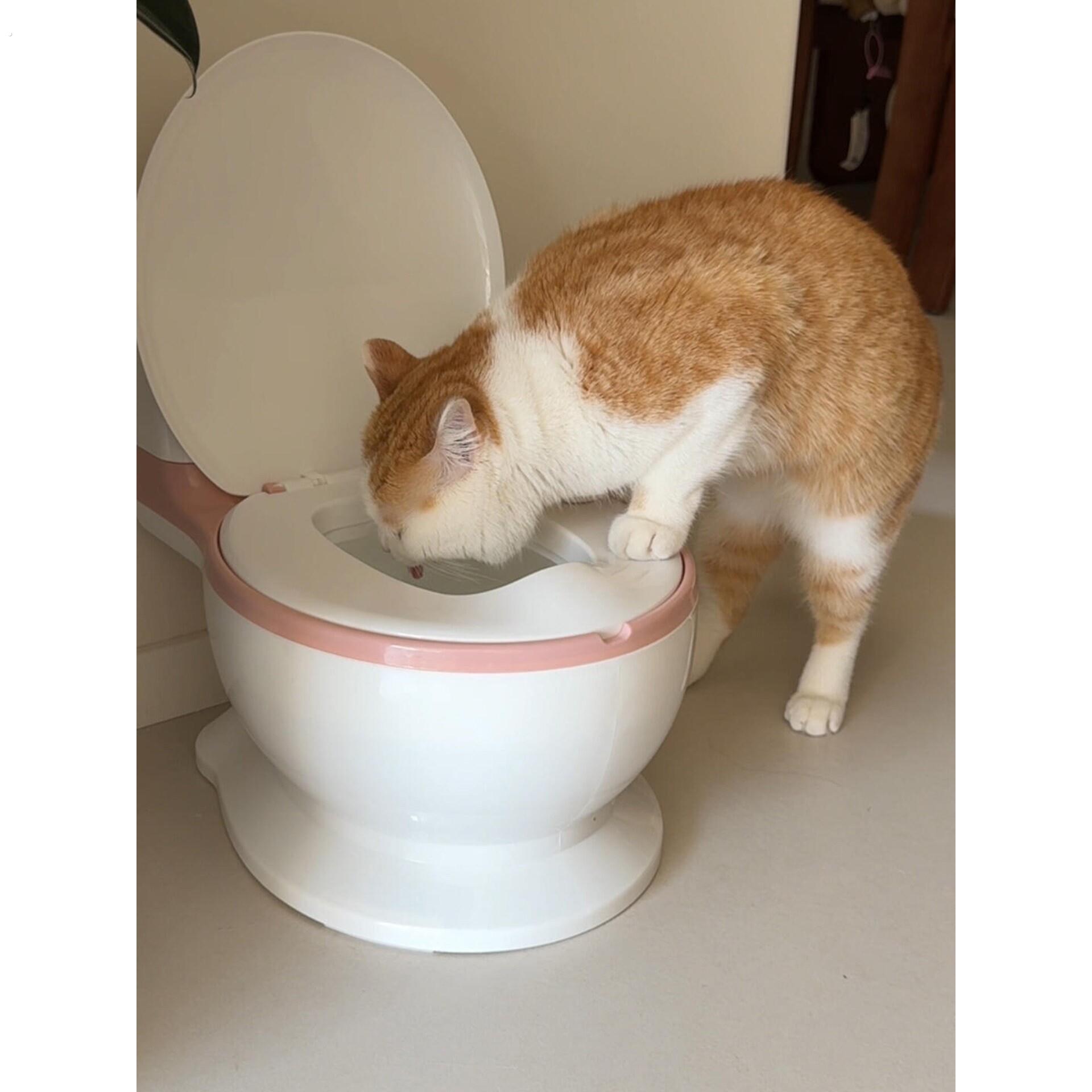 马桶形猫碗不易打翻大口径高脚宠物碗吸引猫咪喝水神器2025年新款