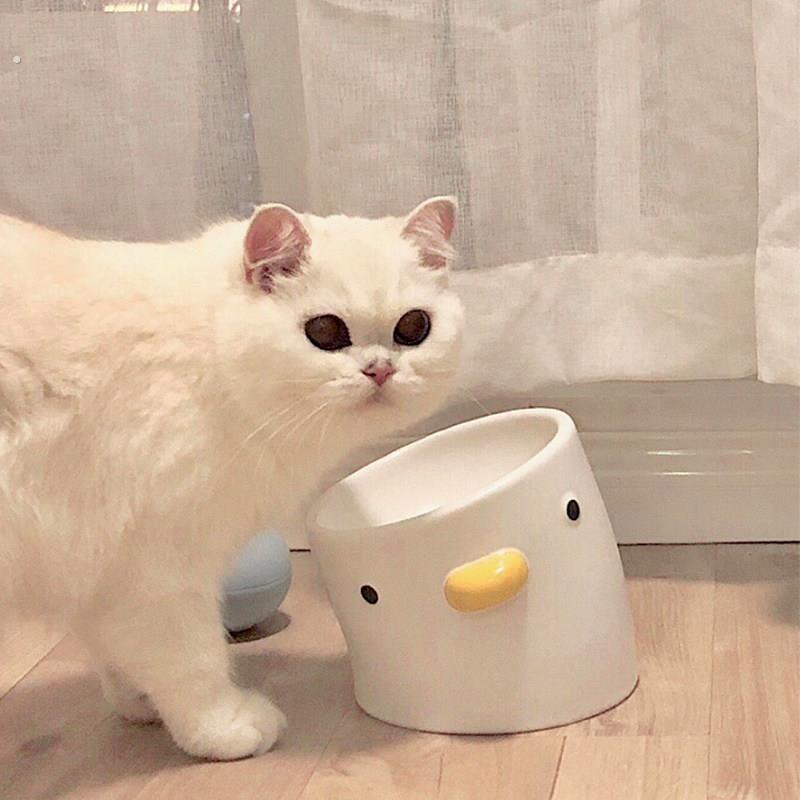 猫碗陶瓷斜口猫食盆小型犬狗碗狗盆不易打翻防黑下巴保护颈椎宠物