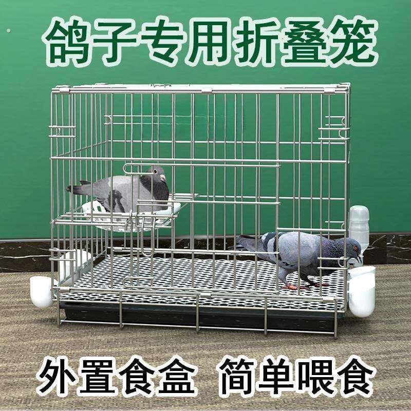 鸽子笼养鸽子专用笼养殖笼家用繁殖笼配对笼大号新型鸽舍鸽子笼子图片