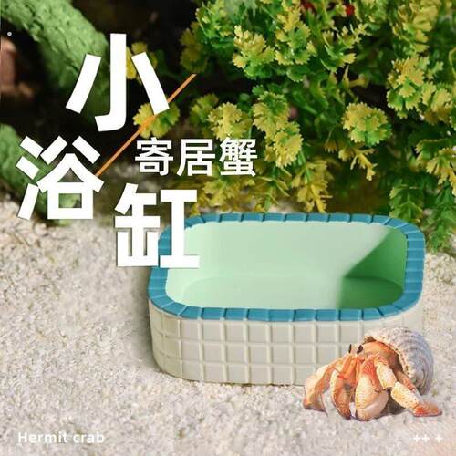 仓鼠寄居蟹洗澡沙蟹泡澡盆迷你浴缸缸造景乌龟蛇鹦鹉仓鼠泡澡