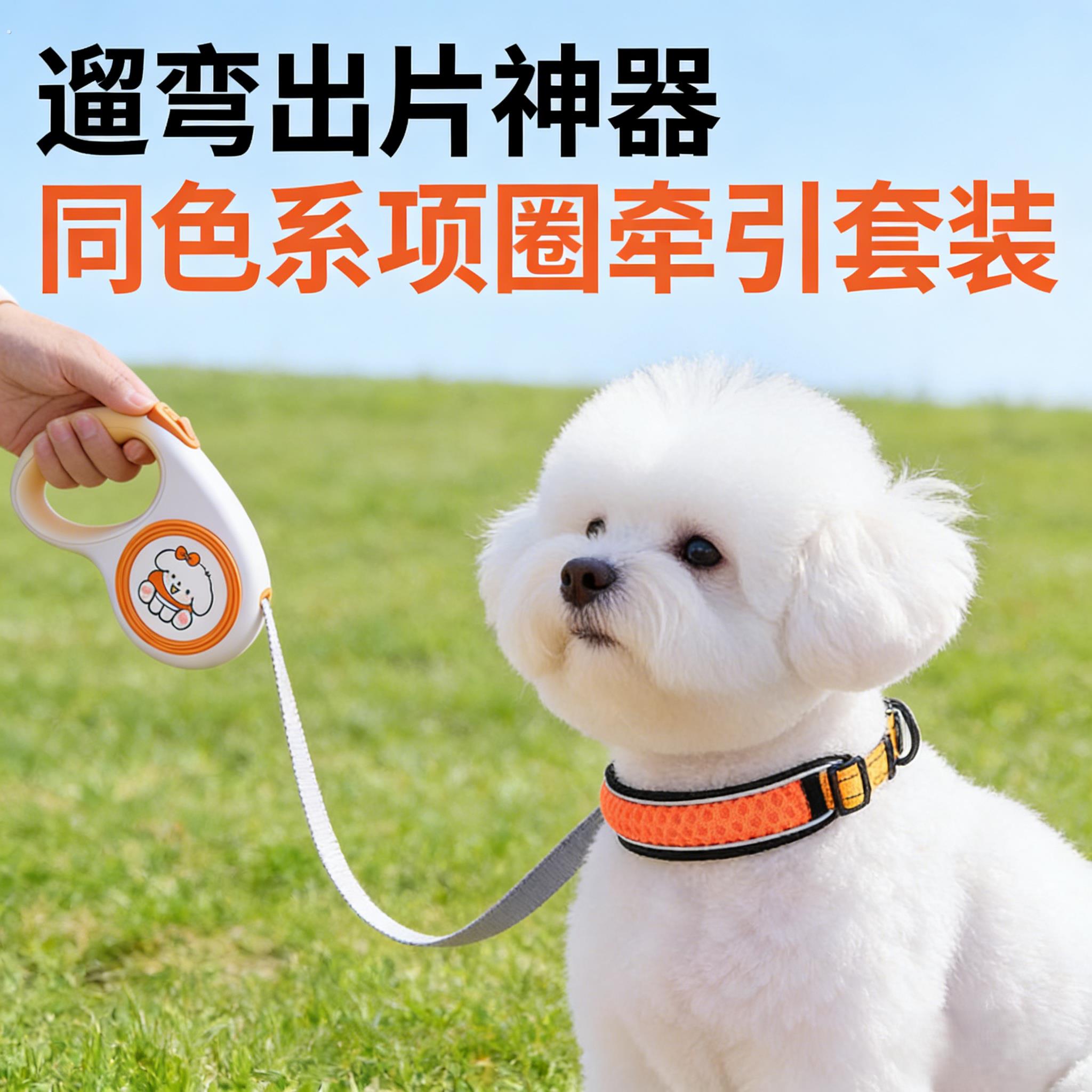 5米伸缩牵引绳狗狗护颈项圈狗炼脖圈中小型犬颈圈脖套宠物遛狗绳
