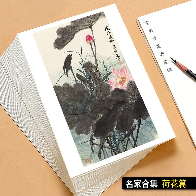 国画临摹卡名家合集荷花篇水墨画中国风绘画入门艺术教学全套40张高清画作临摹学习