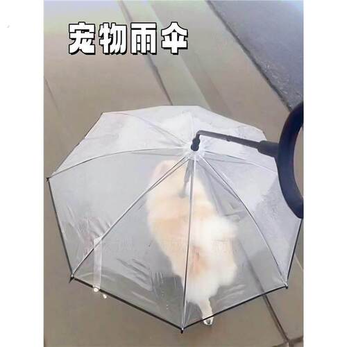 宠物雨伞狗狗牵引绳加粗可调节泰迪柯基中小型犬夏季雨天遛狗神器