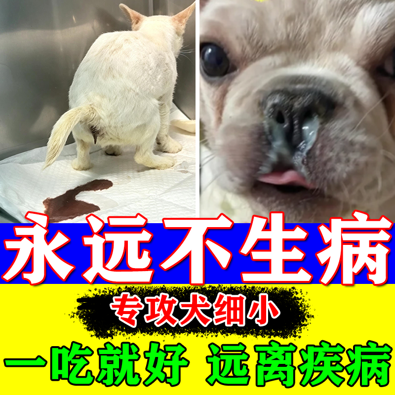 细小病毒特效药狗狗细小特效药口服犬瘟单抗干扰素防病毒翻肠子