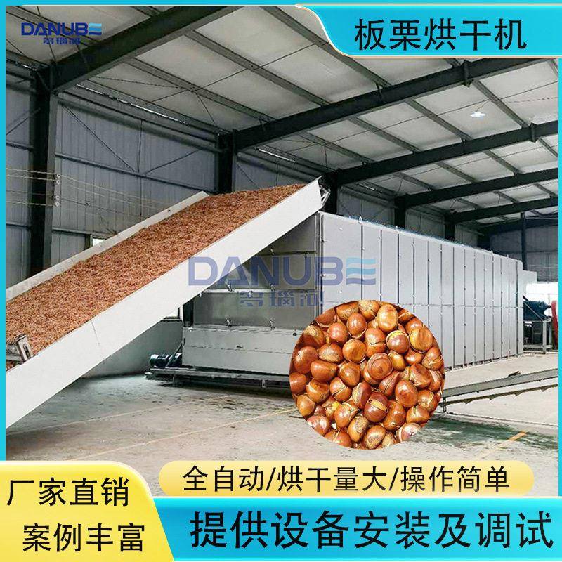 连续式板栗烘干机全自动栗子毛栗子干燥机大型油栗风栗烘干设备
