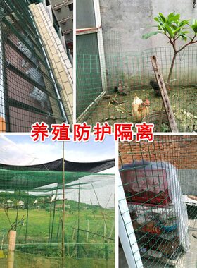 甄选绿色铁丝电焊网荷兰网圈地养鸡养殖围栏网浸塑铁丝防护网