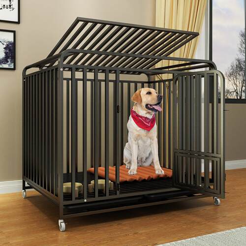 100斤大型犬狗笼宠物室内外金毛