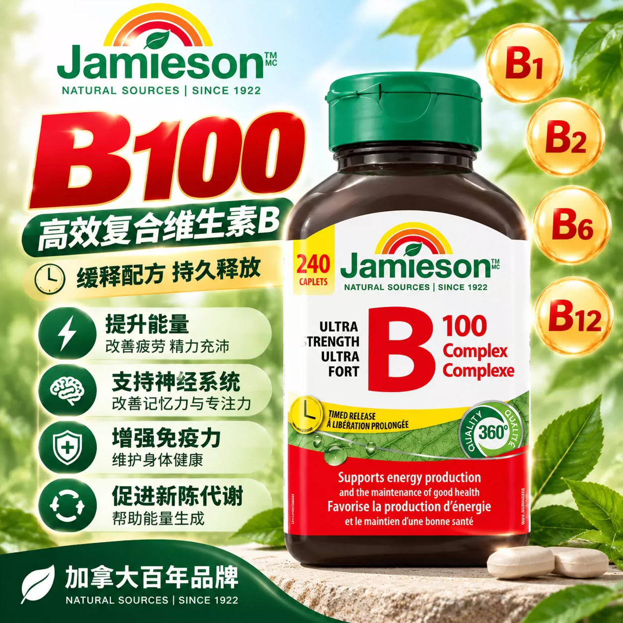 健美生B族维生素B12肌醇护肝