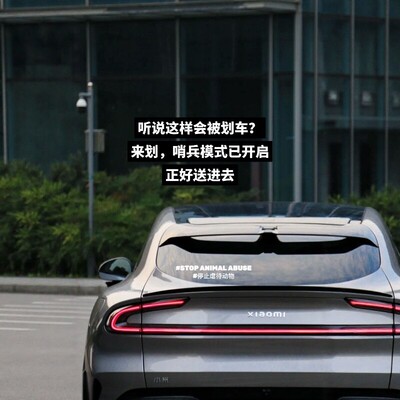 女士专属反对伤害动物车贴保护贴