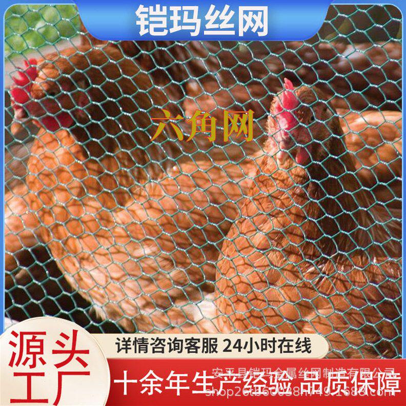 甄选PVC六角网鸡笼网 过塑铁丝网六角金属涂塑网Hexagonal wire m