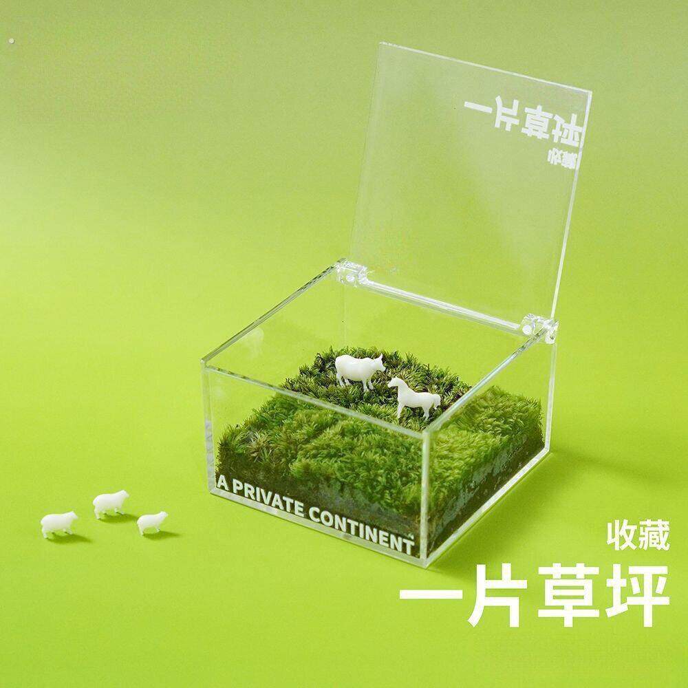 一块草坪片迷你苔藓盒办公室桌面绿植盆栽创意桌搭治愈系微景观
