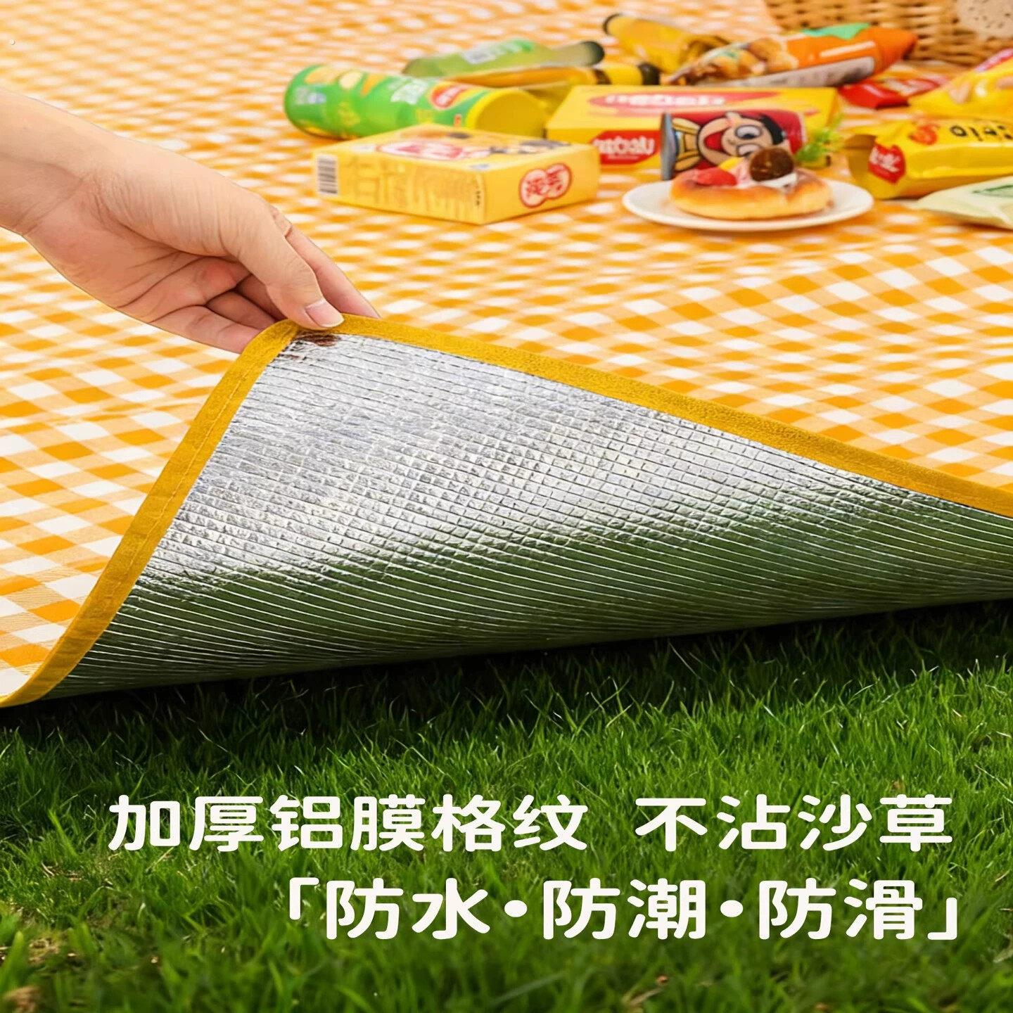野餐垫户外防潮垫防水加厚便携徒步沙滩垫便携露营野炊草坪地垫子