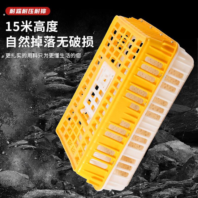 鸡笼周转箱鸡笼子运输笼周转家用养鸡笼养殖笼鸡笼塑料笼鸡筐方便