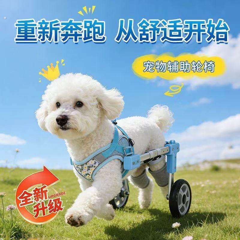 小狗伸缩辅助轮椅瘫痪助行器后腿残疾车狗辅助站立支架猫四轮轮椅