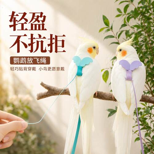 鹦鹉牵引绳外出放飞绳户外遛鸟神器玄凤牡丹超轻不伤脚抱婴袋小鸟