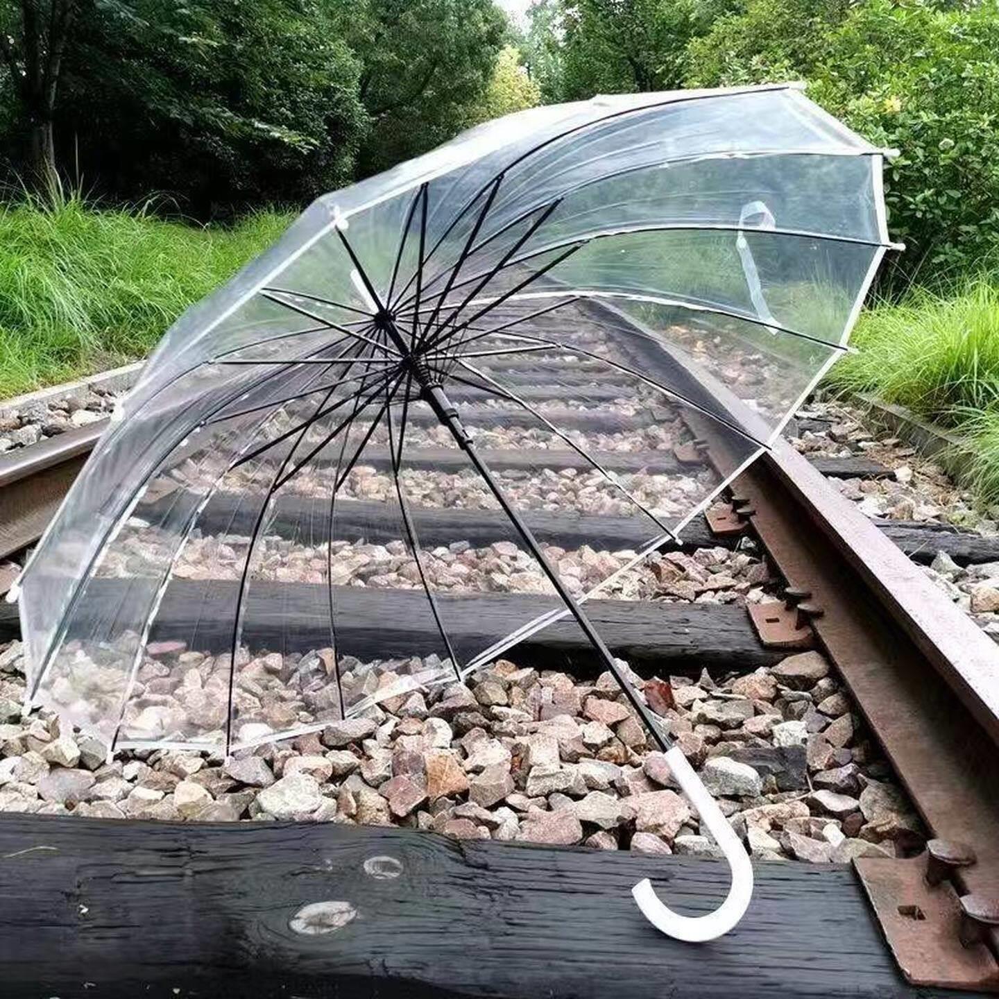 拍照透明雨伞长柄大号双人白色网红自动折叠高颜值透明伞
