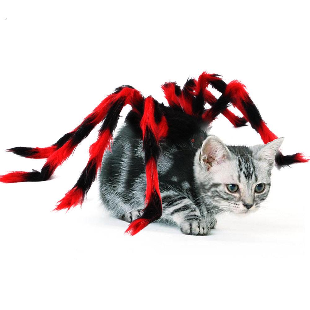 |万圣节圣诞节宠物胸背创意猫咪狗狗小型犬蜘蛛变身服饰宠物衣服
