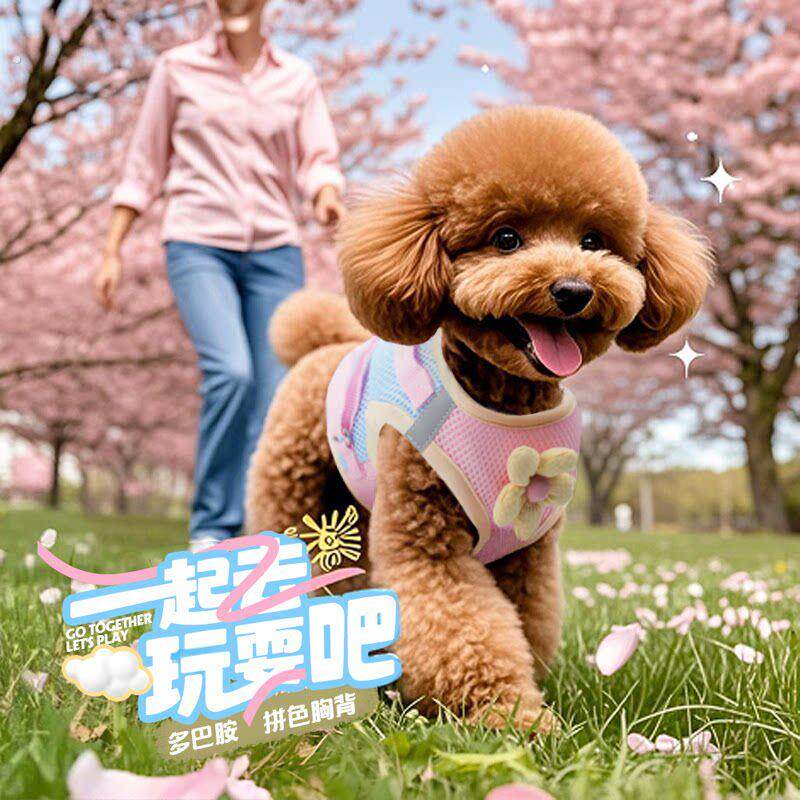 泰迪专用狗狗牵引绳春夏季胸背带中小型犬狗外出透气遛狗绳子狗链